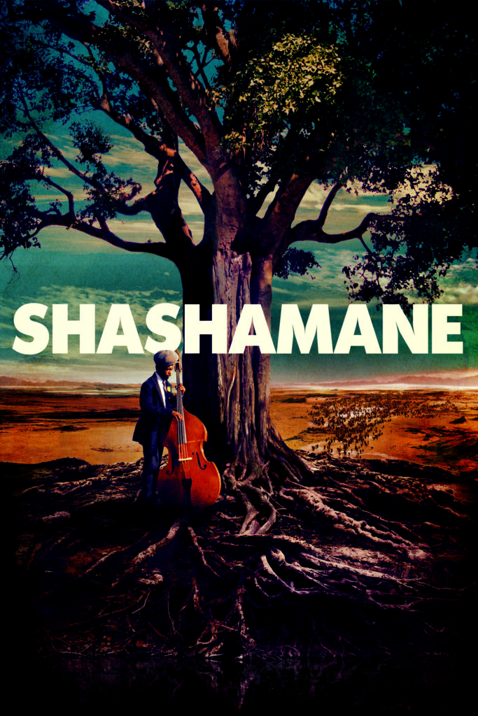 Shashamane